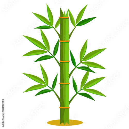 bamboo vector no background