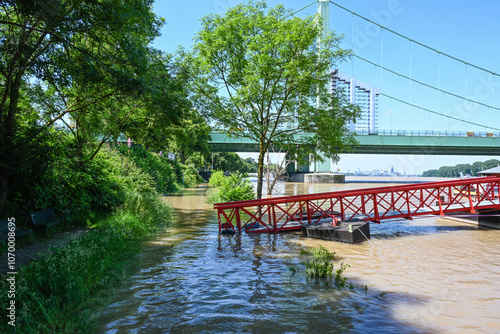 Hochwasser am Rhein in Köln Rodenkirchen