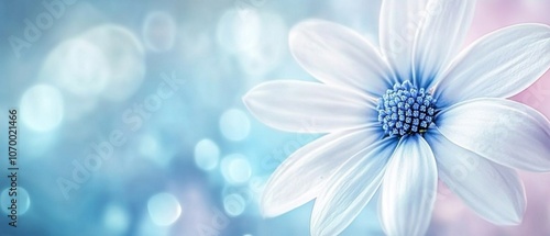 Detailed close-up of a blooming wildflower, highlighting its vibrant colors and delicate structure against a softly blurred field, emphasizing the interconnection of nature and the environment