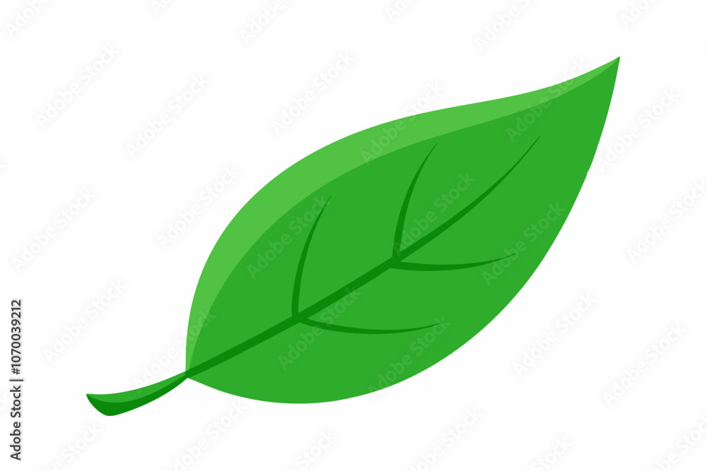 green leaves elements. Collection botanical vector isolated on white background suitable for Wedding Invitation, save the date, thank you, or greeting card. green leaves elements. Collection botanical vector isolated on white background suitable for Wedding Invitation, save the date, thank you, or greeting card.