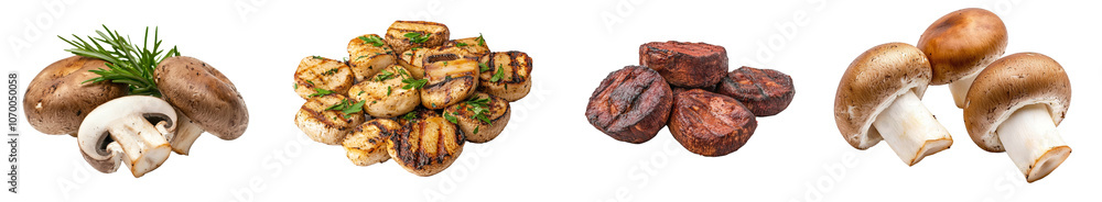 The grilling of a champignon on a transparent background The grilling of a champignon on a transparent background