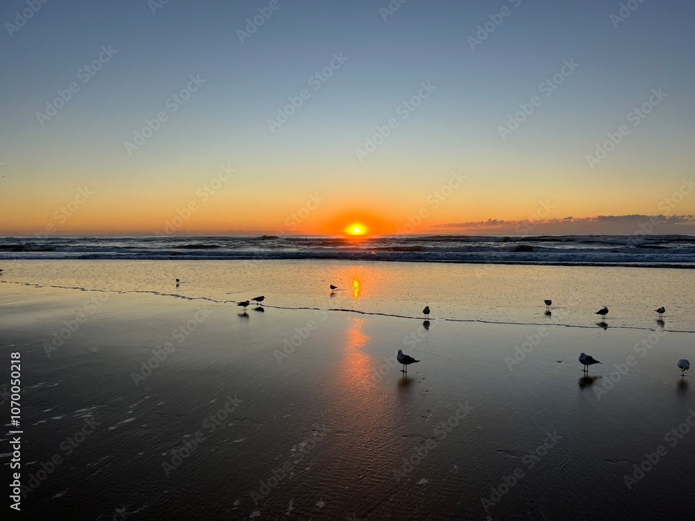 Surfers Paradise, Gold Coast, Queensland, Australia Surfers Paradise, Gold Coast, Queensland, Australia