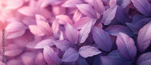 Purple Leaf Background.