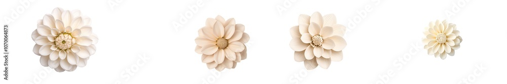 The flower is white, beige, and transparent. The flower is white, beige, and transparent.