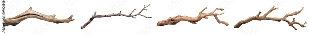 Fototapeta premium Dry old tree branch isolated on transparent background
