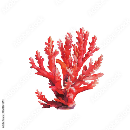 A watercolor vector of coral, isolated on a white background.