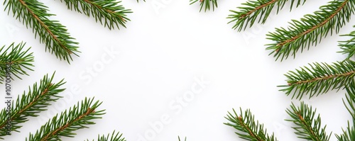 Green pine branches arranged in a simple circle, white background, calm and natural