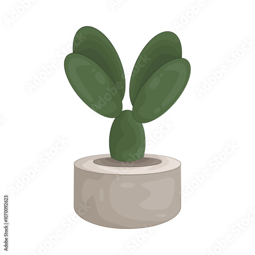 Illustration of cactus 