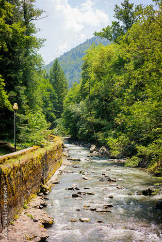 Summer view of the Borjomula River in Borjomi Central Park, Georgia. Clear water flows through lush greenery and tall trees under bright sunlight, creating a peaceful, natural atmosphere photo