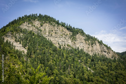 Summer view of Cross Mountain in Borjomi, Georgia, on a sunny day. The mountain stands tall amid vibrant green trees, basking in sunlight, showcasing the region's natural beauty