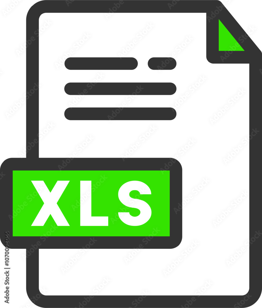XLS XLS