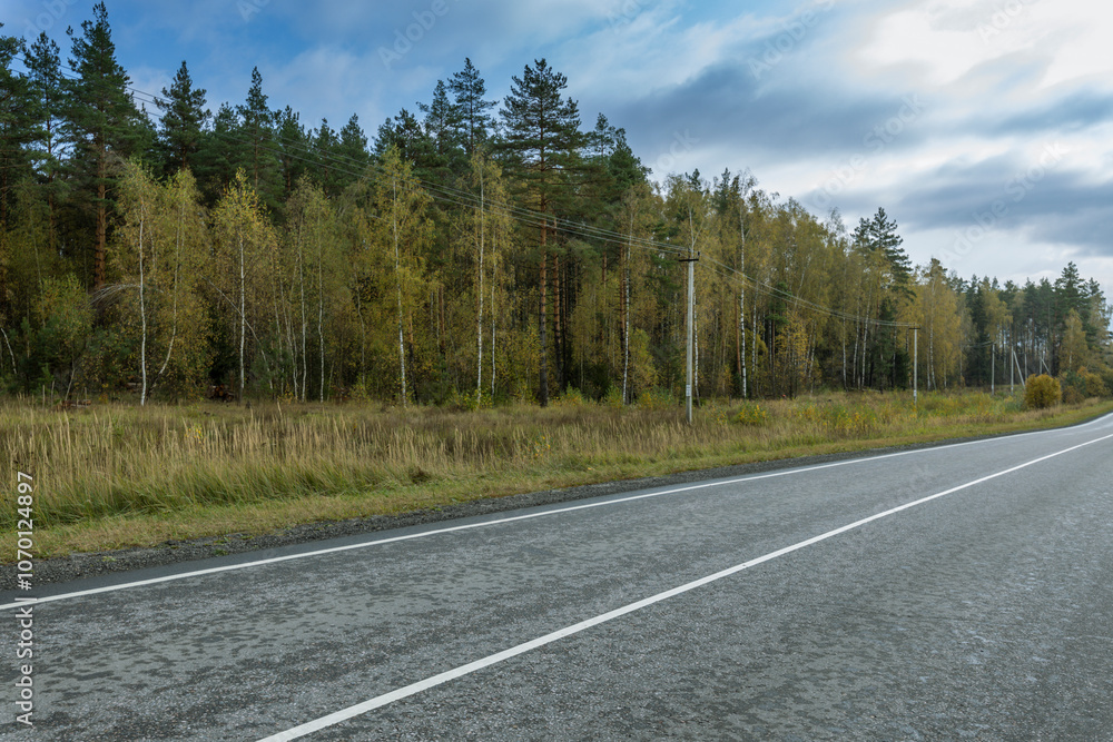 A road with a lot of trees in the background A road with a lot of trees in the background