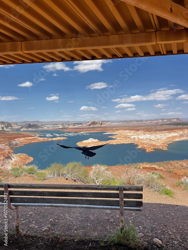 Vue Lac Powell avec un corbeau