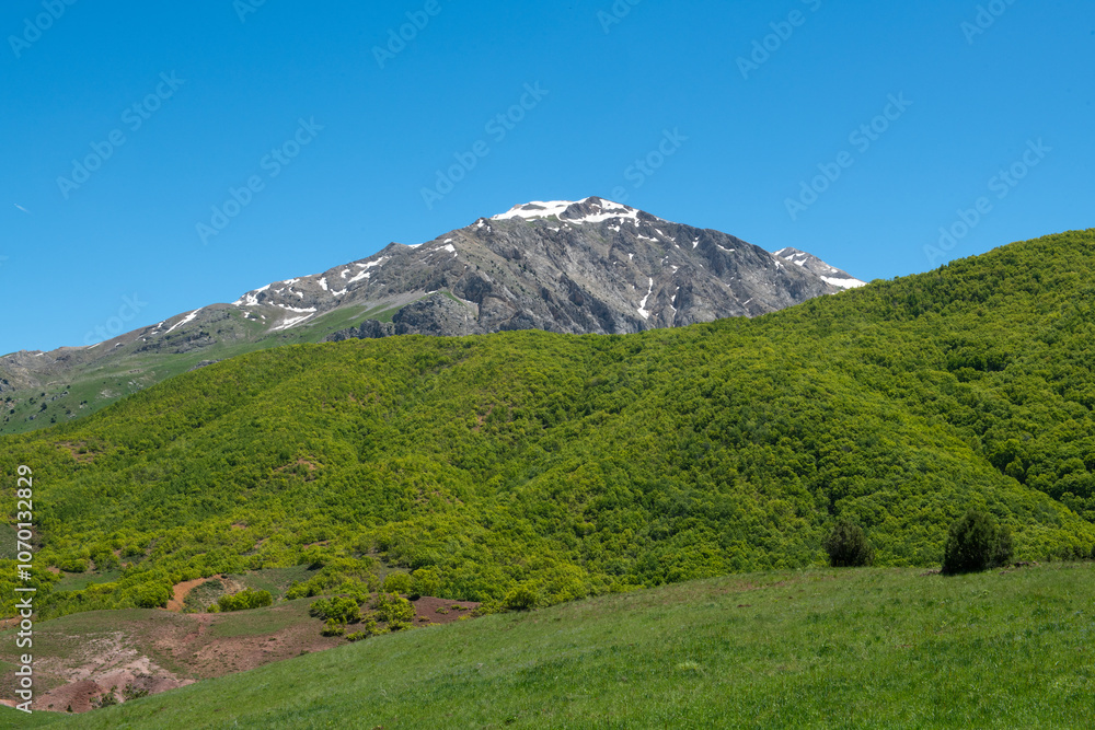 Green plains, snowy mountains. Blue sky and snowy mountains. Snowy mountains of Tunceli. Pülümür Valley, Buyer Mountain, Sarıgül Plateau, Buyer Waterfall.Munzur, Tunceli, Türkiye.
Green plains, snowy mountains. Blue sky and snowy mountains. Snowy mountains of Tunceli. Pülümür Valley, Buyer Mountain, Sarıgül Plateau, Buyer Waterfall.Munzur, Tunceli, Türkiye.