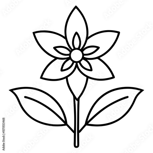 Medicinal Borage Flower Vector Illustration.