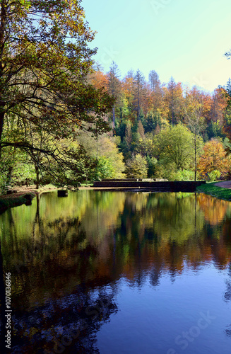 Bäume spiegeln sich in einem Weiher im Wald im Herbst- Aussicht auf den Weiher am Züscher Hammer vom Wanderweg Traumschleife Dollbergschleife. 