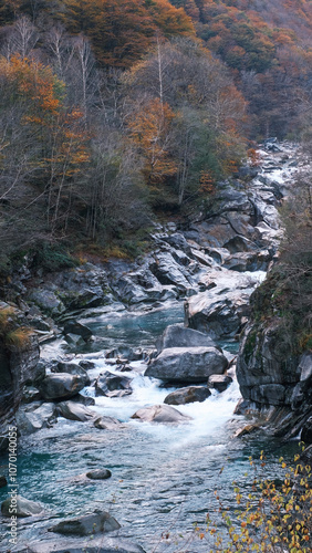 Flowing River in Autumn Forest photo