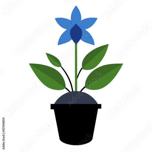 Medicinal Borage Flower Vector, Blue and Green.