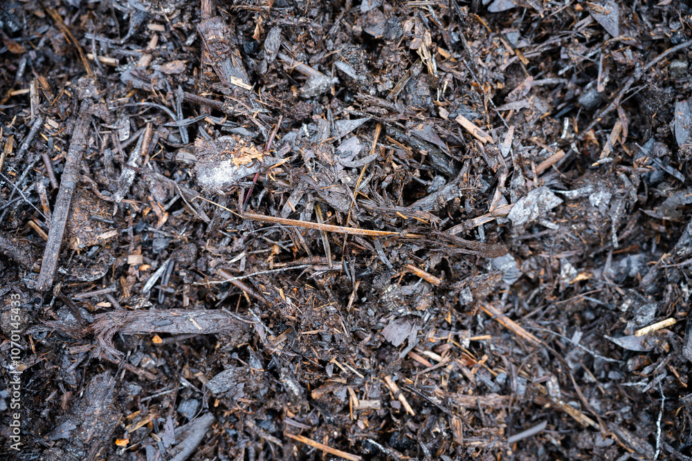 compost ring making compost pile on a farm holding microorganisms storing carbon sustainable regenerative food farm in a field on an agricultural farm in australia compost ring making compost pile on a farm holding microorganisms storing carbon sustainable regenerative food farm in a field on an agricultural farm in australia