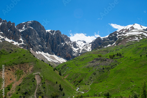 Green plains, snowy mountains. Blue sky and snowy mountains. Snowy mountains of Tunceli. Pülümür Valley, Buyer Mountain, Sarıgül Plateau, Buyer Waterfall.Munzur, Tunceli, Türkiye.
 photo