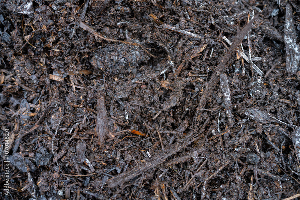 compost ring making compost pile on a farm holding microorganisms storing carbon compost ring making compost pile on a farm holding microorganisms storing carbon
