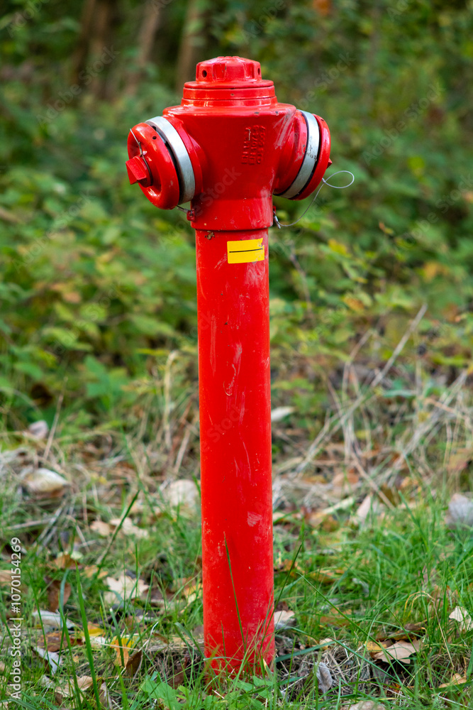 Bright Red Fire Hydrant in a Forested Area Bright Red Fire Hydrant in a Forested Area