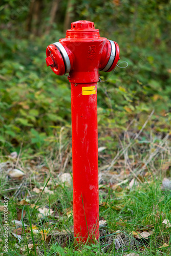 Bright Red Fire Hydrant in a Forested Area