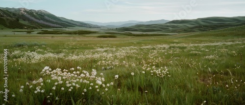 A vast meadow teems with white wildflowers under a clear sky, stretching towards distant hills, inviting a sense of peace and endless possibilities.