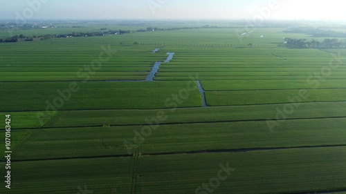 Serene countryside location, misty horizon background, aerial scenery photo