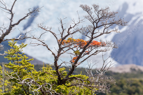 View of Los Glaciares National Park, El Chalten,Patagonia, Argentina.