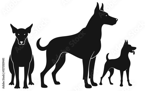 set of silhouette dogs difference comportment