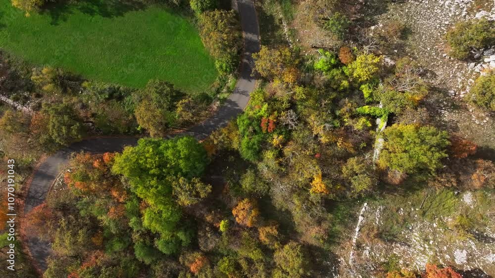 Automnal forest view from the sky  in the Col de Vence in France