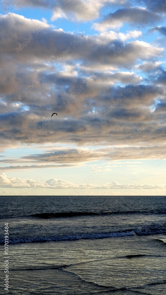 Obraz premium Seascape at sunset with dramatic cloudy sky above calm ocean. A seagull flies towards the horizon