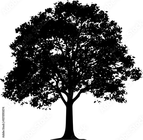 Black Silhouette Elm Tree Icon Vector Illustration