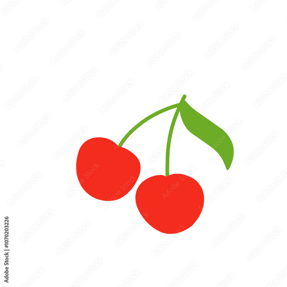 cherry illustration cherry illustration