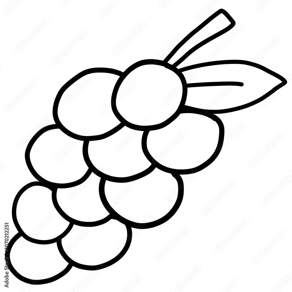bunch of grapes bunch of grapes