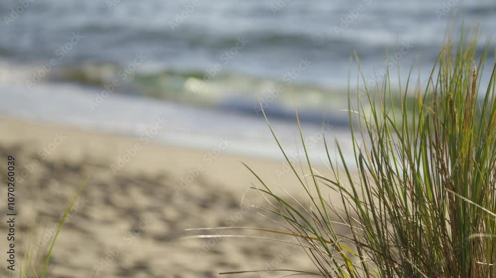 Waves washing the sandy beach with tufts of grass bending in the wind. Waves washing the sandy beach with tufts of grass bending in the wind.