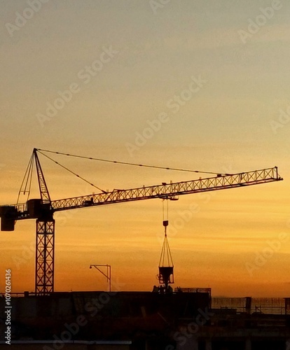 crane at sunset