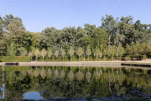 Wallpaper Mural Reflejos de árboles Torontodigital.ca