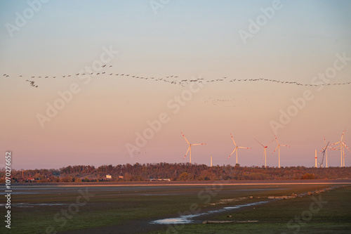 crane swarm in front of a wind turbine park near Straussfurt in Thuringia