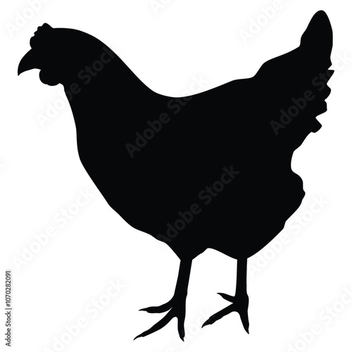 Poultry chicken hen black silhouette. Chicken vector icon