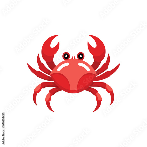  Red crab with raised claws isolated flat vector illustration on white background photo