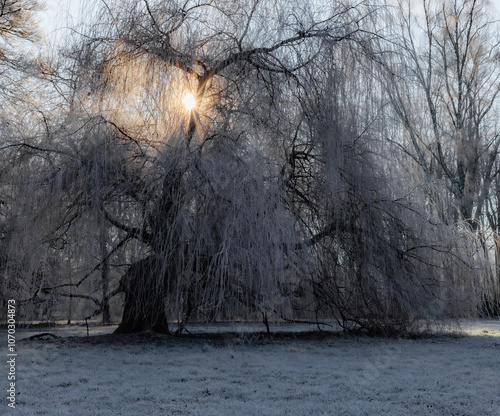 Sonnenaufgang im Winter