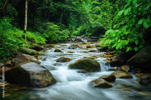 A river flows through a lush green forest, surrounded by rocks