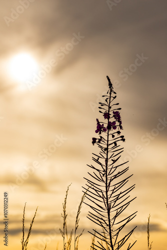 Bilder die beim Sonnenuntergang enstanden