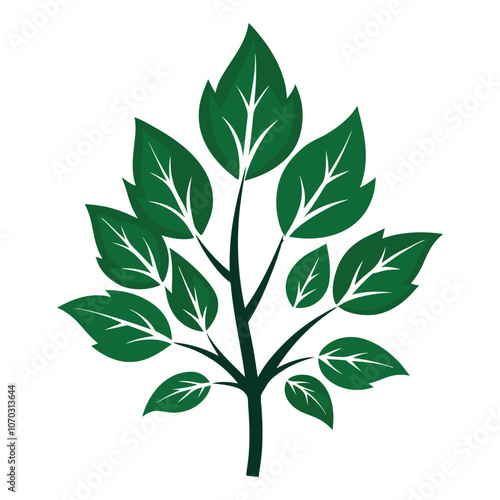 tree leaves set silhouette on white background