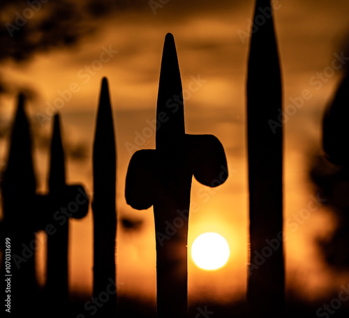 Bilder die beim Sonnenuntergang enstanden