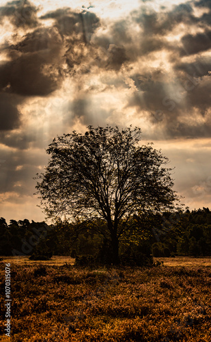 Bilder die beim Sonnenuntergang enstanden