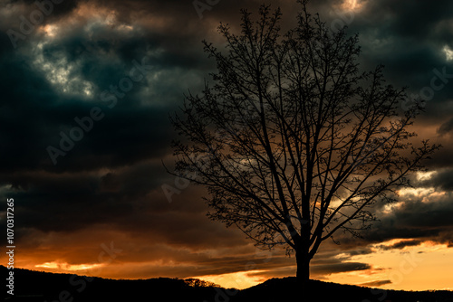 Bilder die beim Sonnenuntergang enstanden