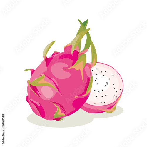 Vector illustration of dragon fruit